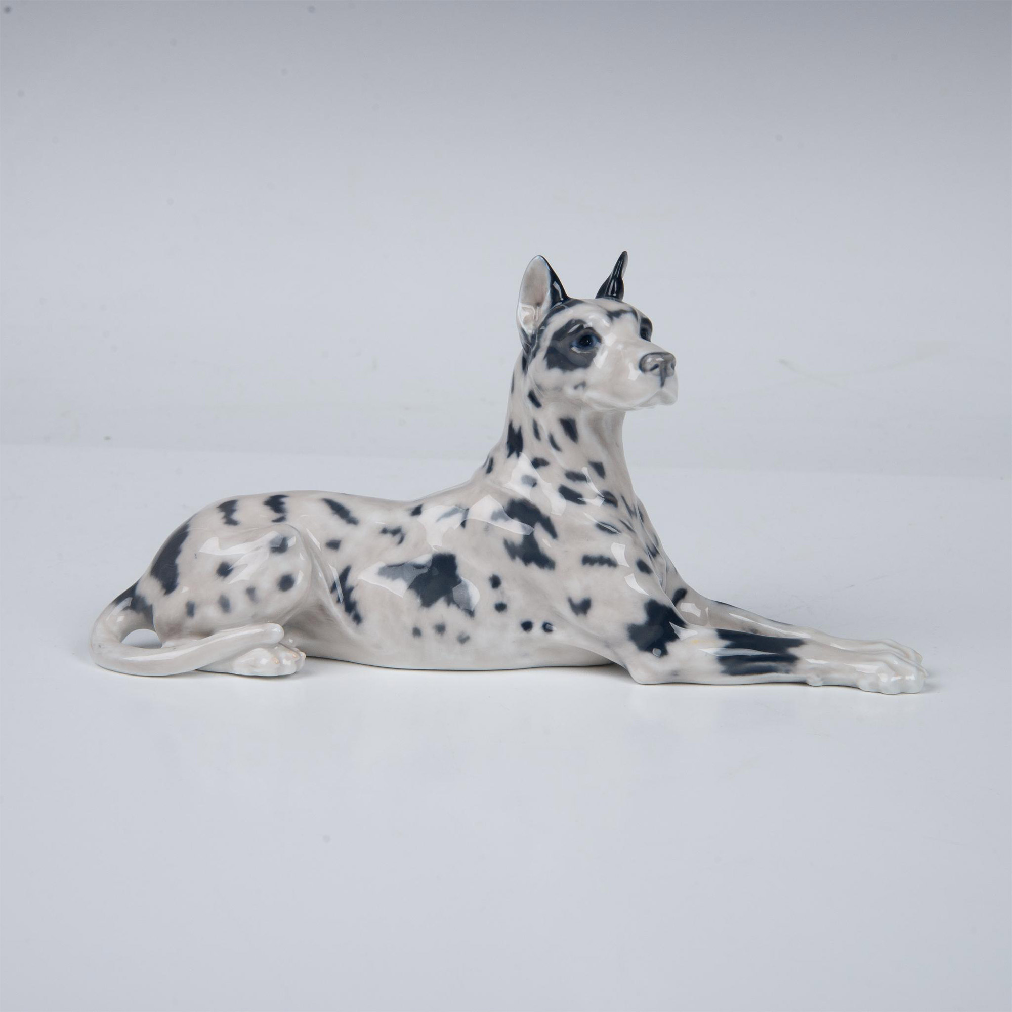 Royal Copenhagen Porcelain Dog Figurine, Great Dane 1679 - Image 5 of 6