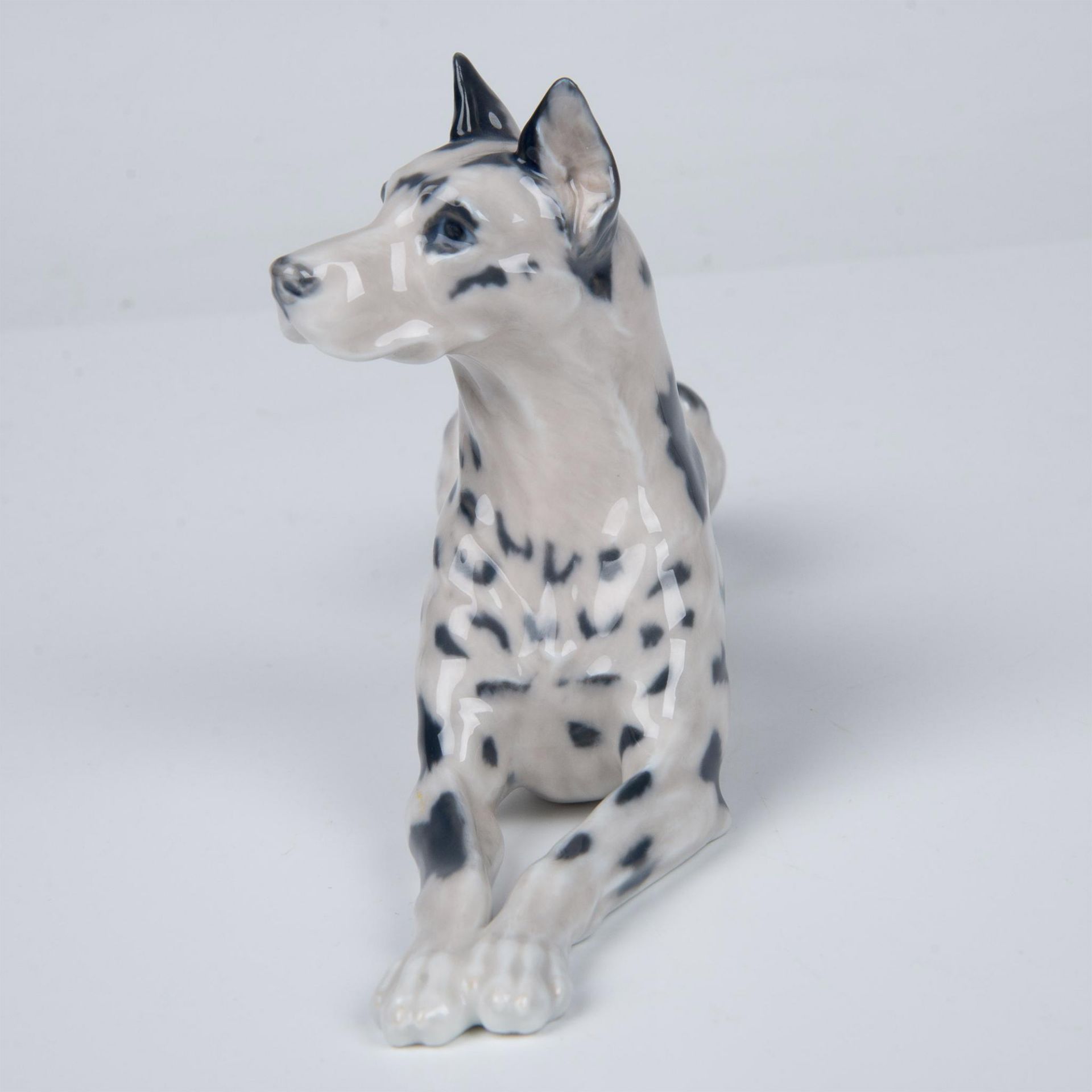 Royal Copenhagen Porcelain Dog Figurine, Great Dane 1679 - Image 2 of 6
