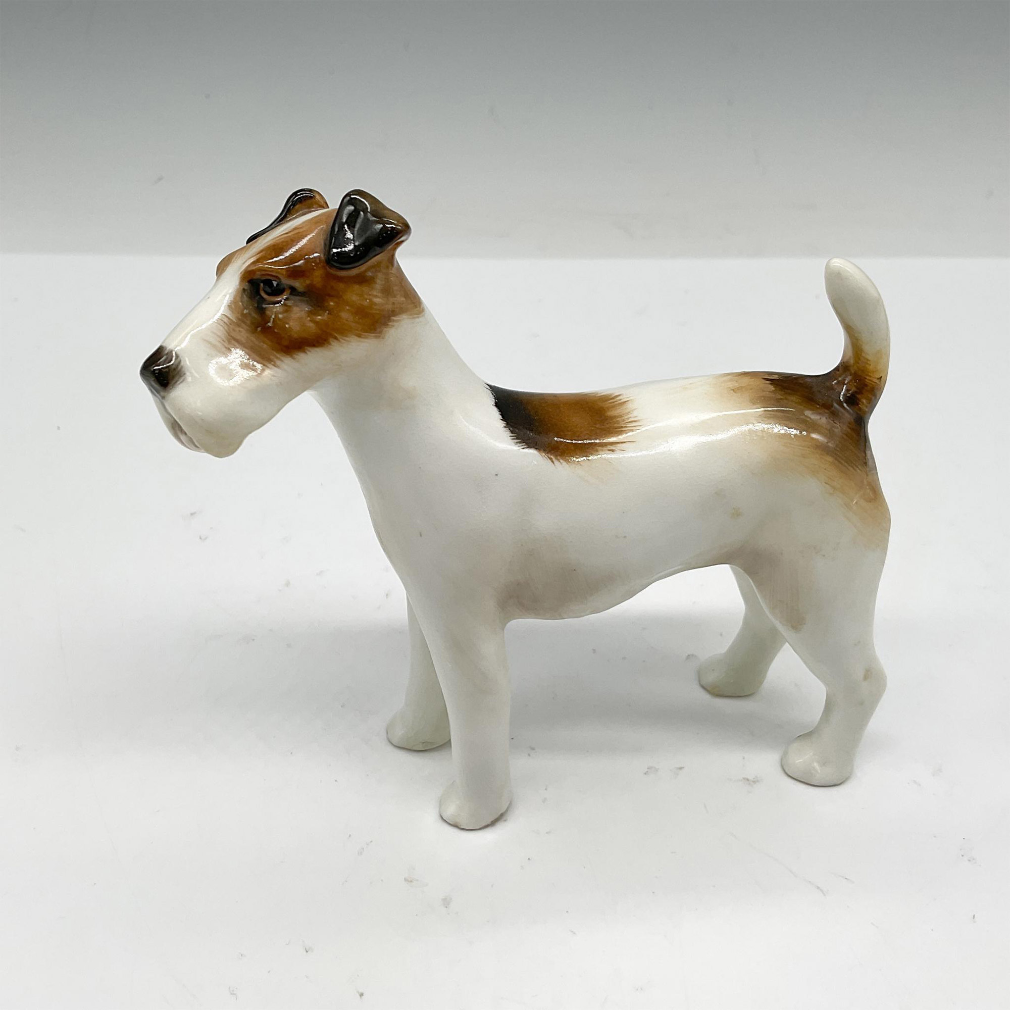Standing Fox Terrier - HN923 - Royal Doulton Animal Figurine