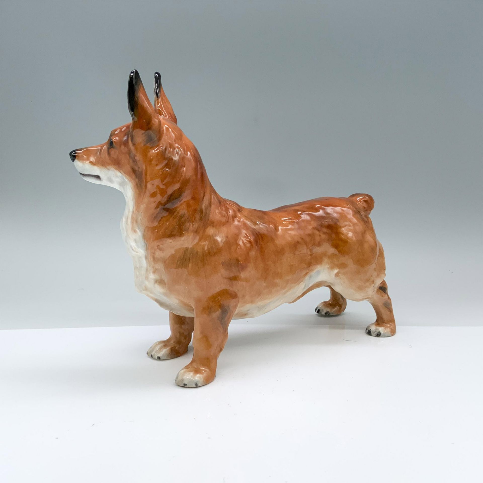 Rare Royal Doulton Spring Robin Dog Figurine, Corgi HN2557 - Image 2 of 5