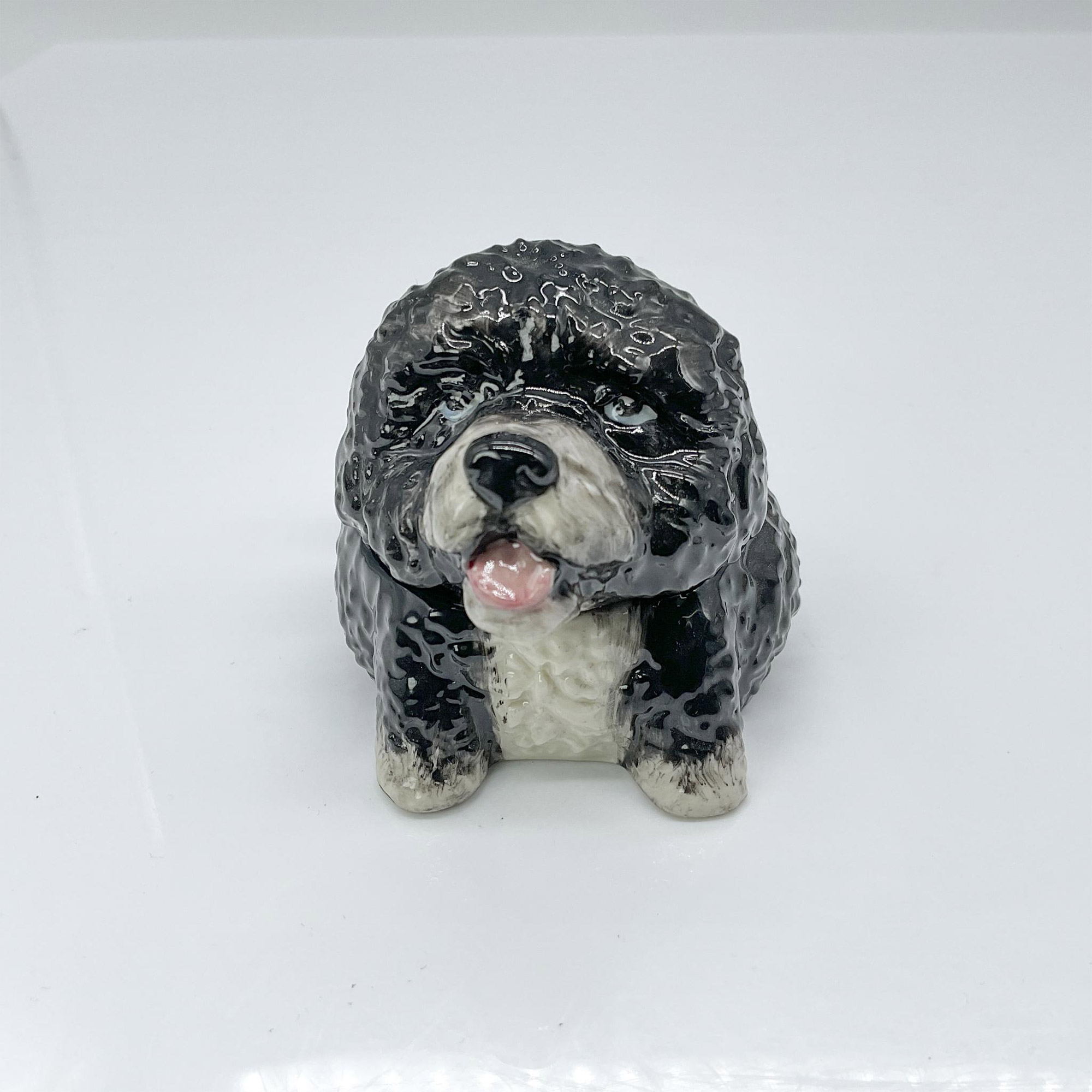 Kevin Francis Dog Face Pots, Elian Portuguese Water Dog