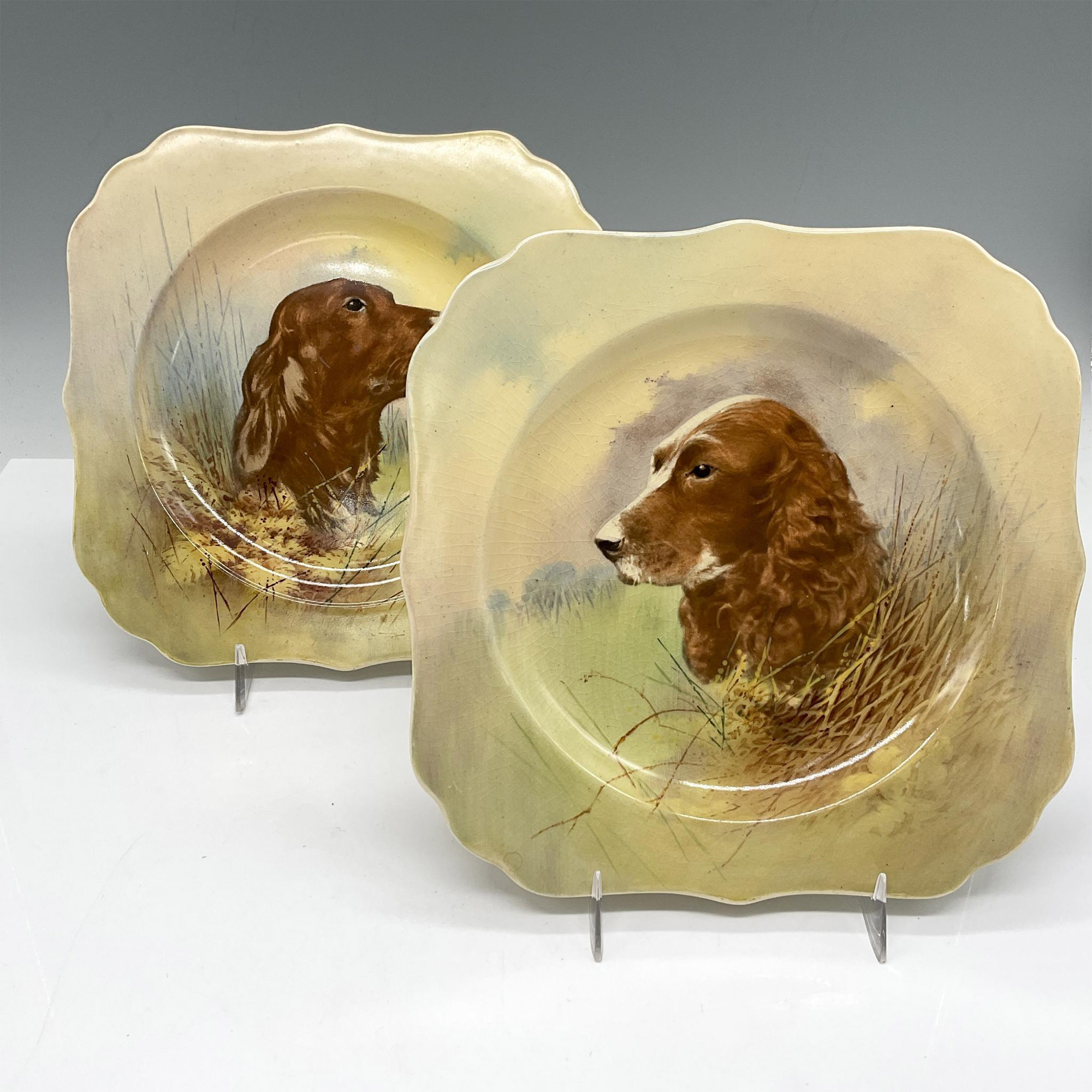 2pc Royal Doulton Series Ware Plates, Dog's Heads