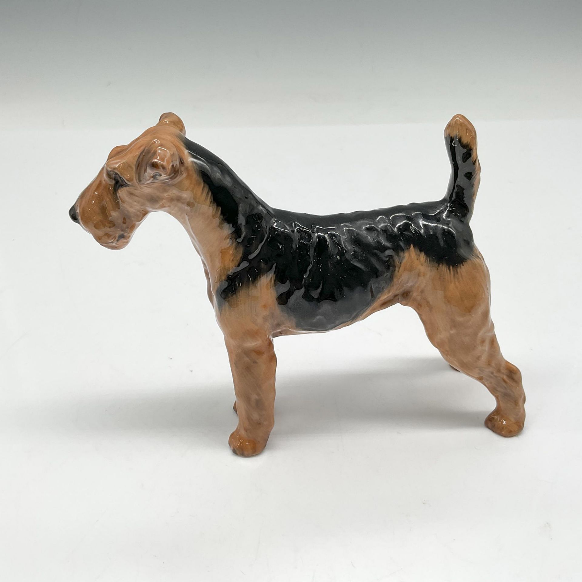 Airedale Terrier Small - HN1024 - Royal Doulton Animal Figurine