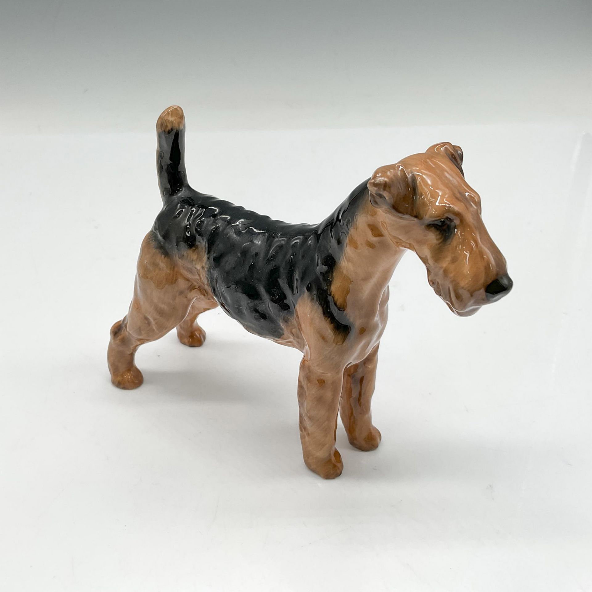 Airedale Terrier Small - HN1024 - Royal Doulton Animal Figurine - Image 2 of 3