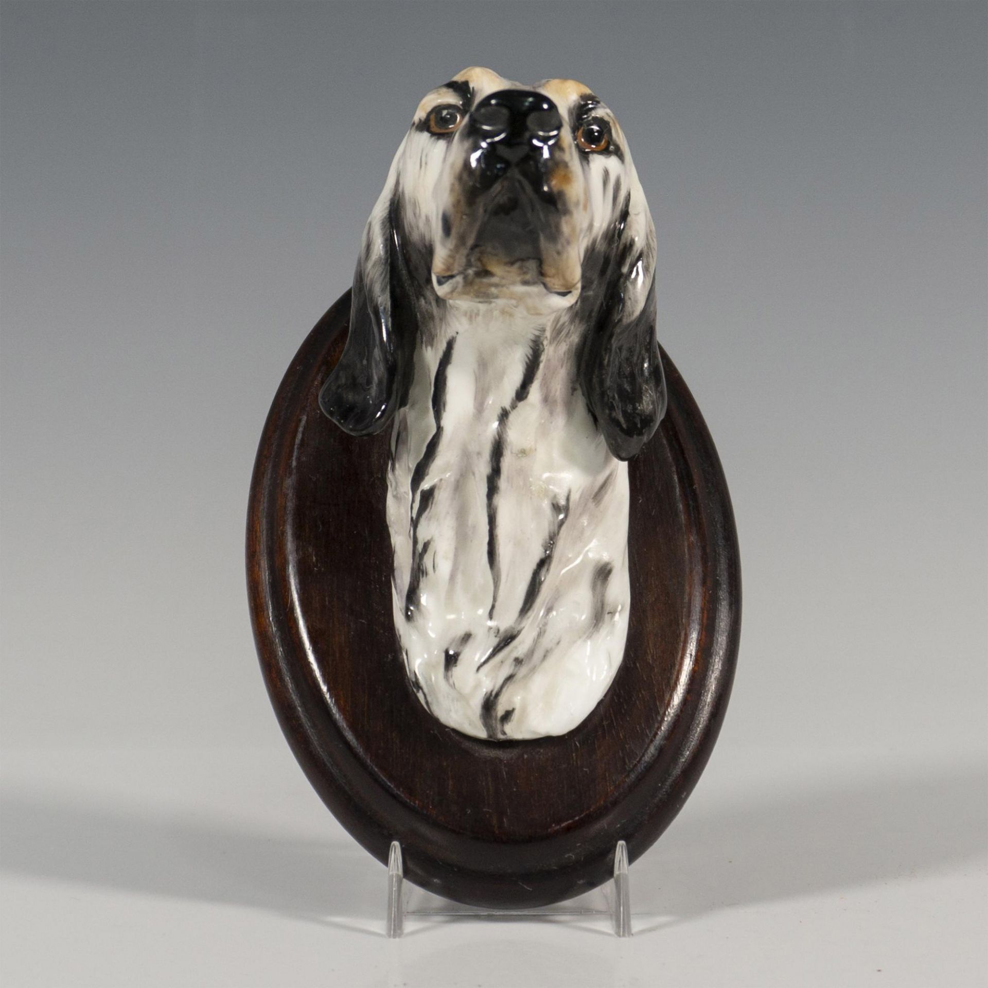 Royal Doulton Dogs Head Wall Mount, English Setter SK21 - Image 2 of 6