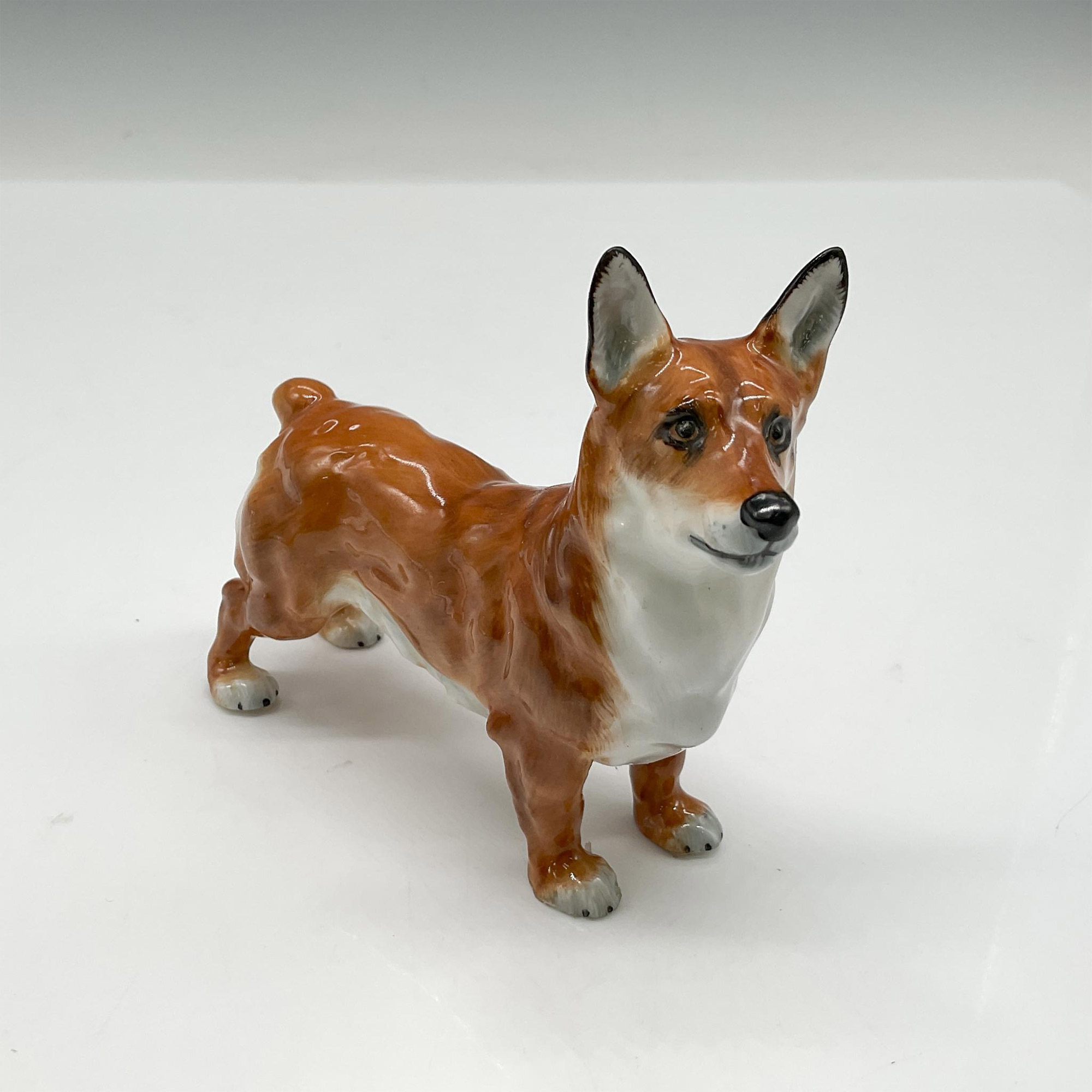 Welsh Corgi - HN2559 - Royal Doulton Animal Figurine