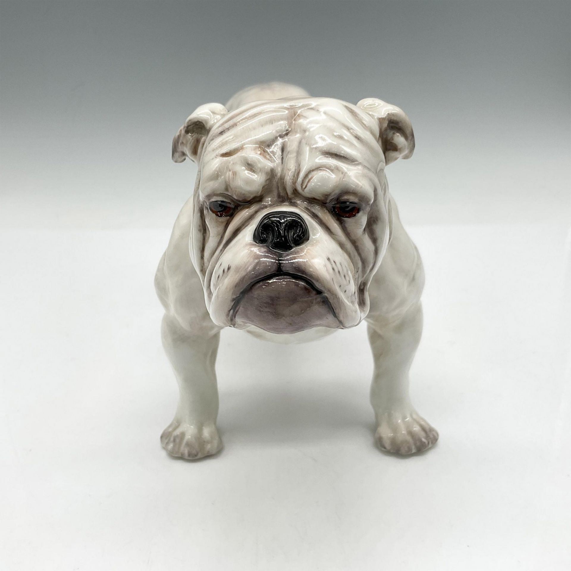 Large Standing Bulldog - HN1072 - Royal Doulton Animal Figurine