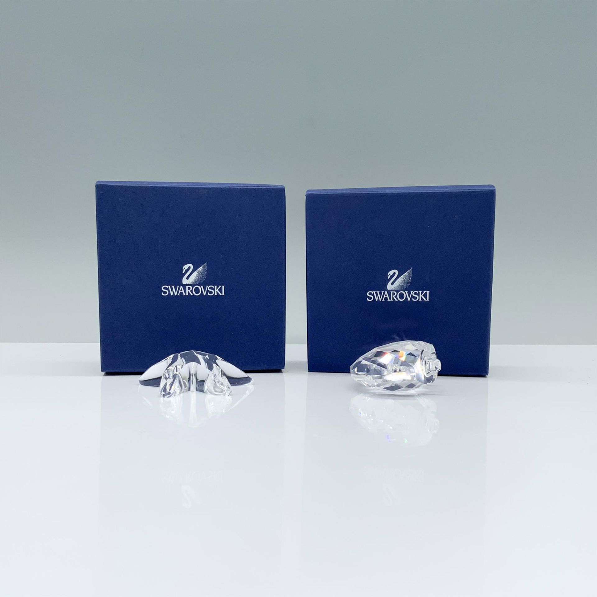 2pc Swarovski Crystal Paperweights, Scallop and Starfish - Bild 4 aus 4