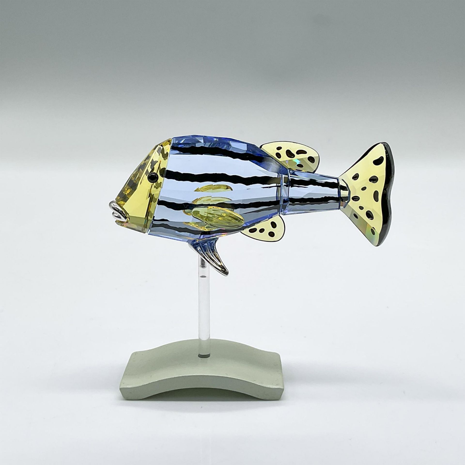 Swarovski Crystal Figurine, Paradise Fish, Catumbela