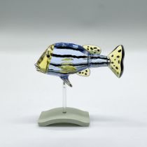 Swarovski Crystal Figurine, Paradise Fish, Catumbela