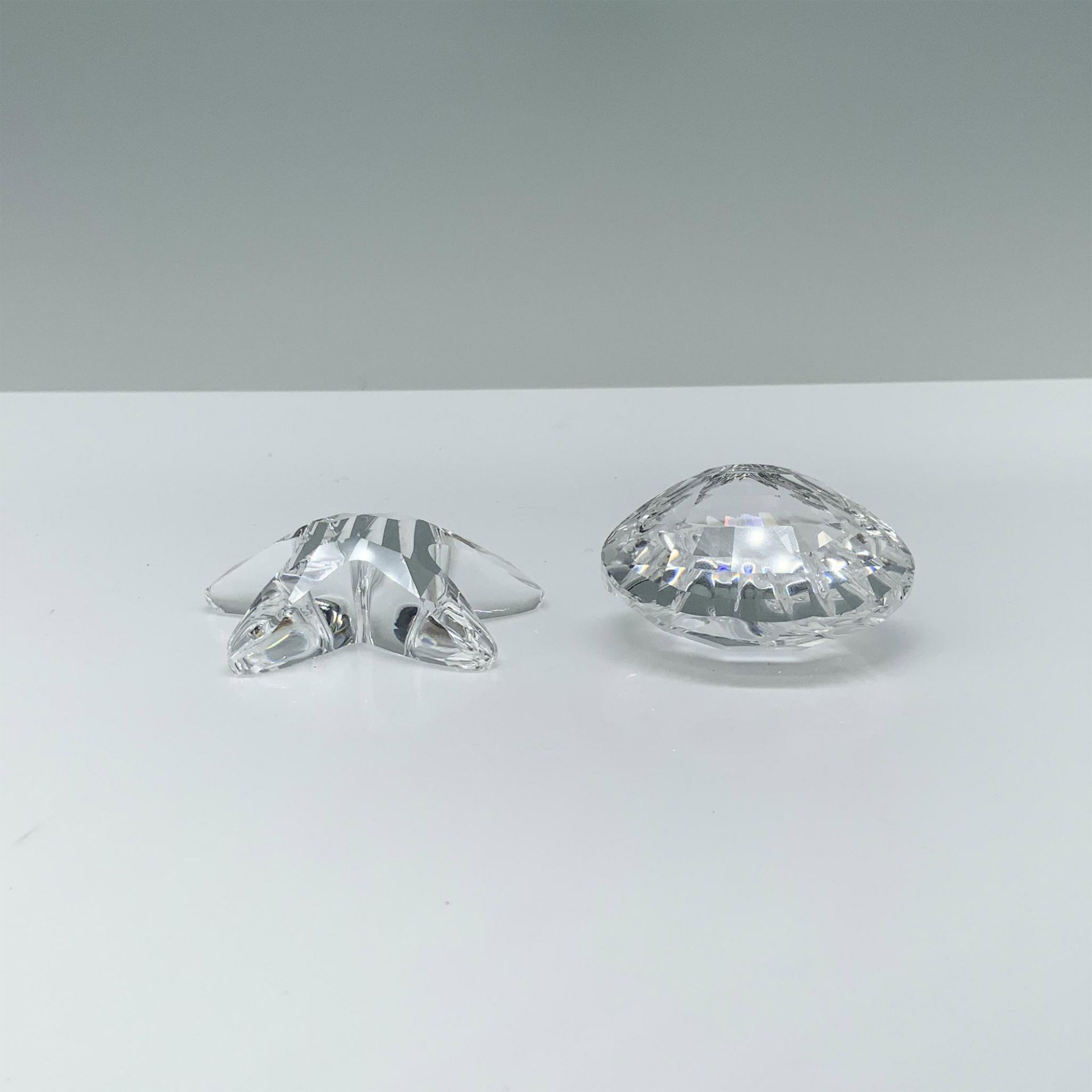 2pc Swarovski Crystal Paperweights, Scallop and Starfish - Bild 2 aus 4