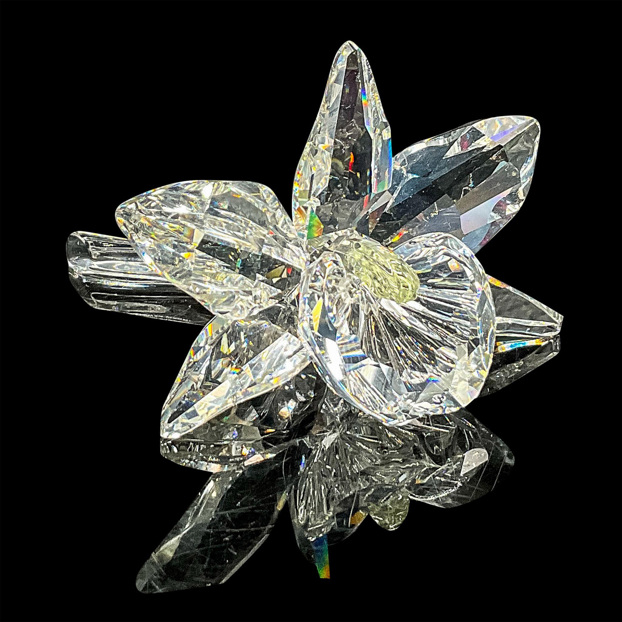 Swarovski Silver Crystal Figurine, Orchid Yellow Pistil