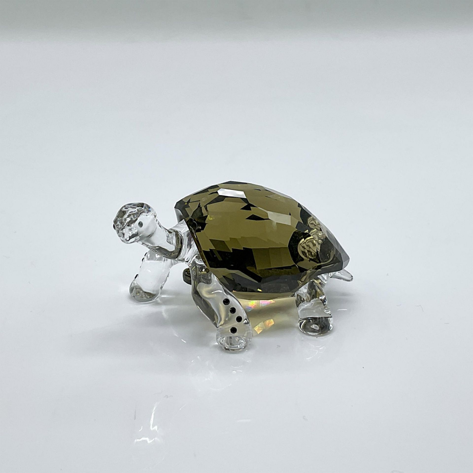 Swarovski Crystal Figurine, Galapagos Tortoise