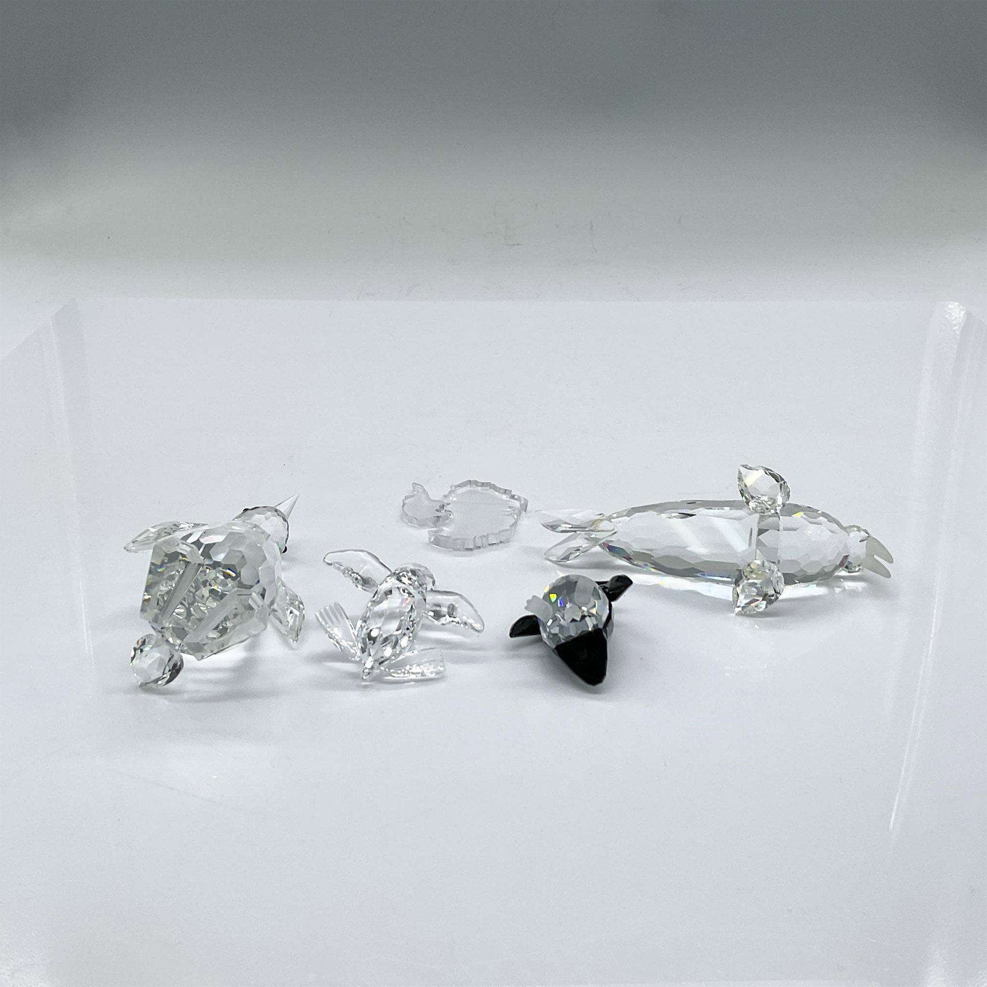 5pc Swarovski Crystal Figurines, Arctic Friends + Base - Image 4 of 4