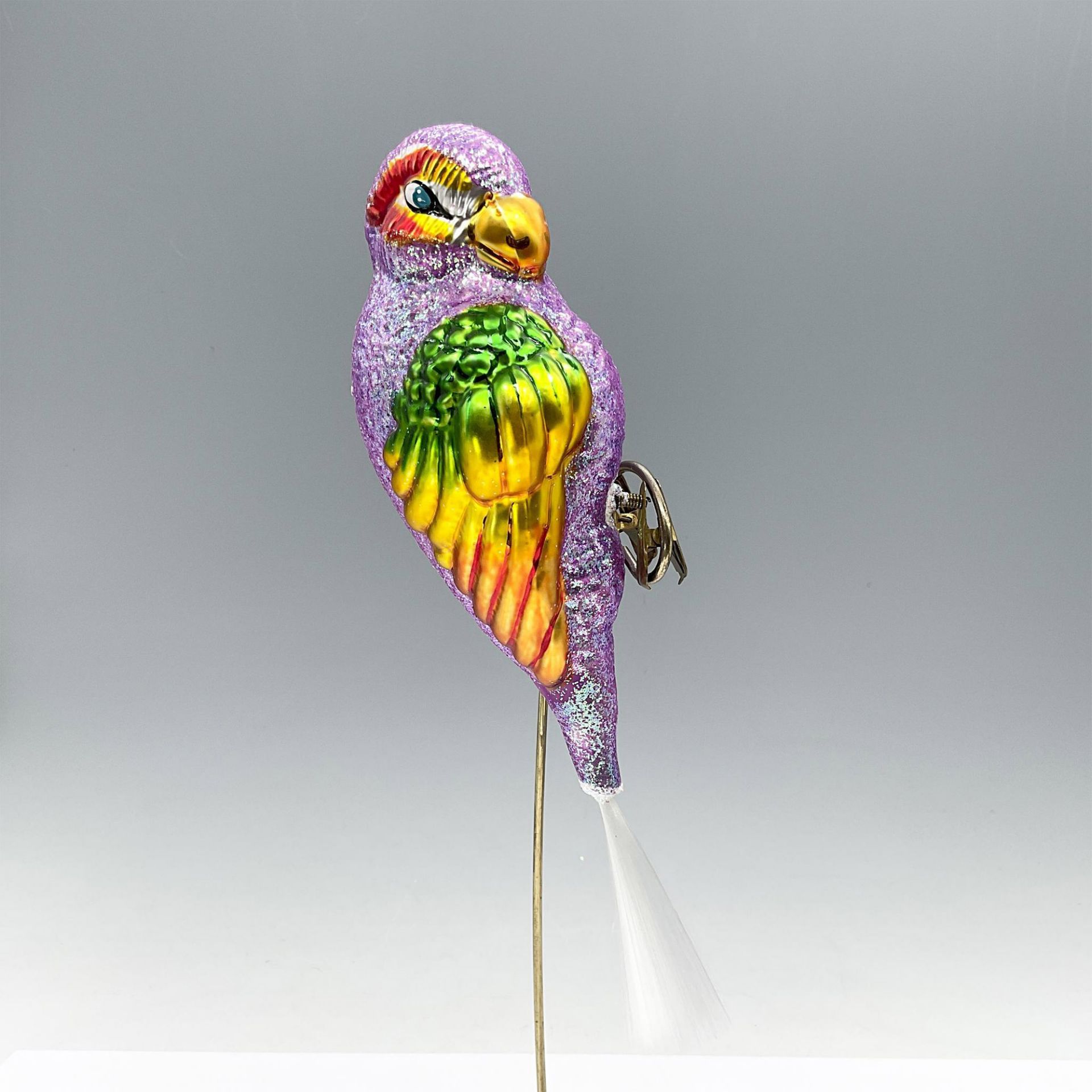 Christopher Radko Polly Wanna Parrot Ornament