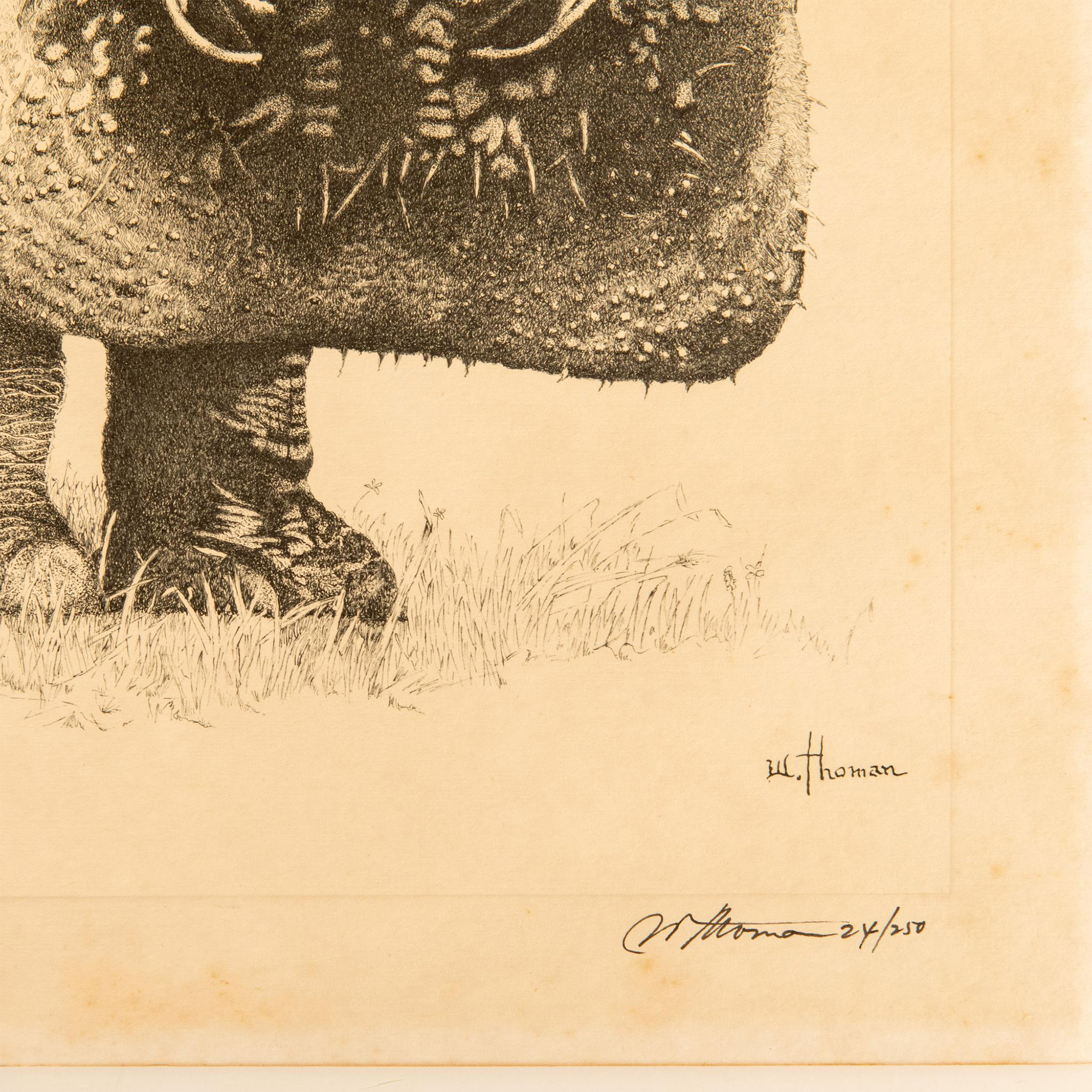 W. Thoman, Original Etching on Paper, Rhinoceros, Signed - Image 3 of 4