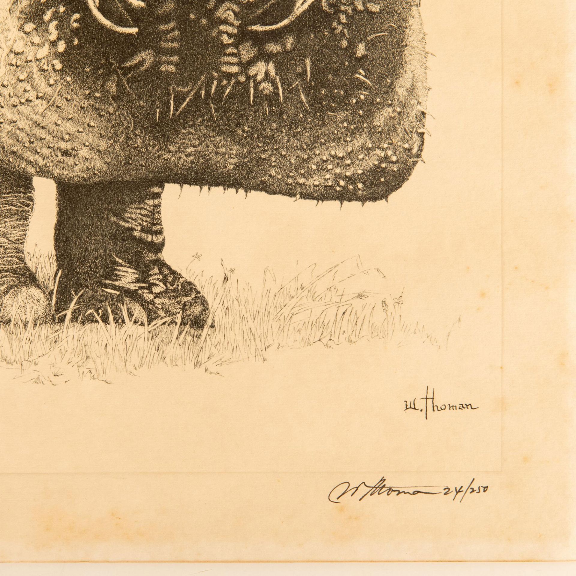 W. Thoman, Original Etching on Paper, Rhinoceros, Signed - Bild 3 aus 4