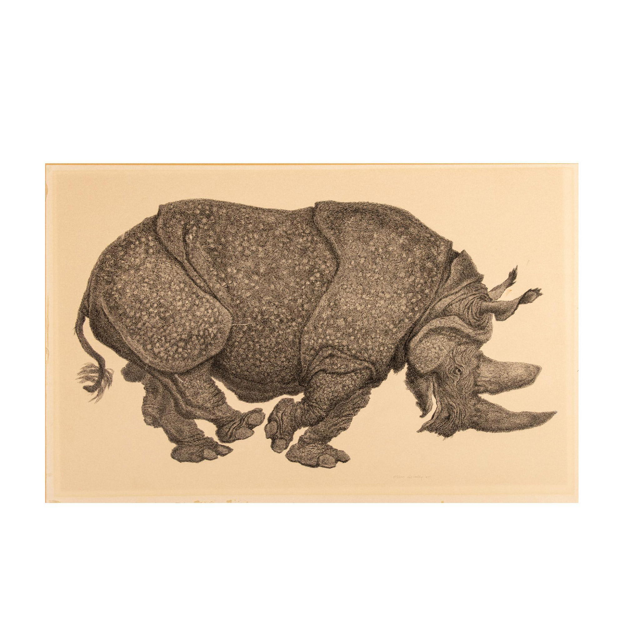 Oliver Grimley, Original Pen & Ink Drawing on Paper, Rhino - Image 2 of 5