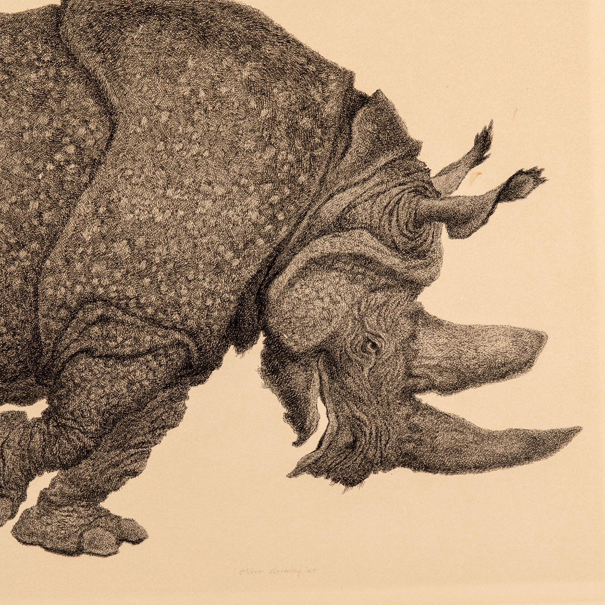 Oliver Grimley, Original Pen & Ink Drawing on Paper, Rhino - Image 3 of 5