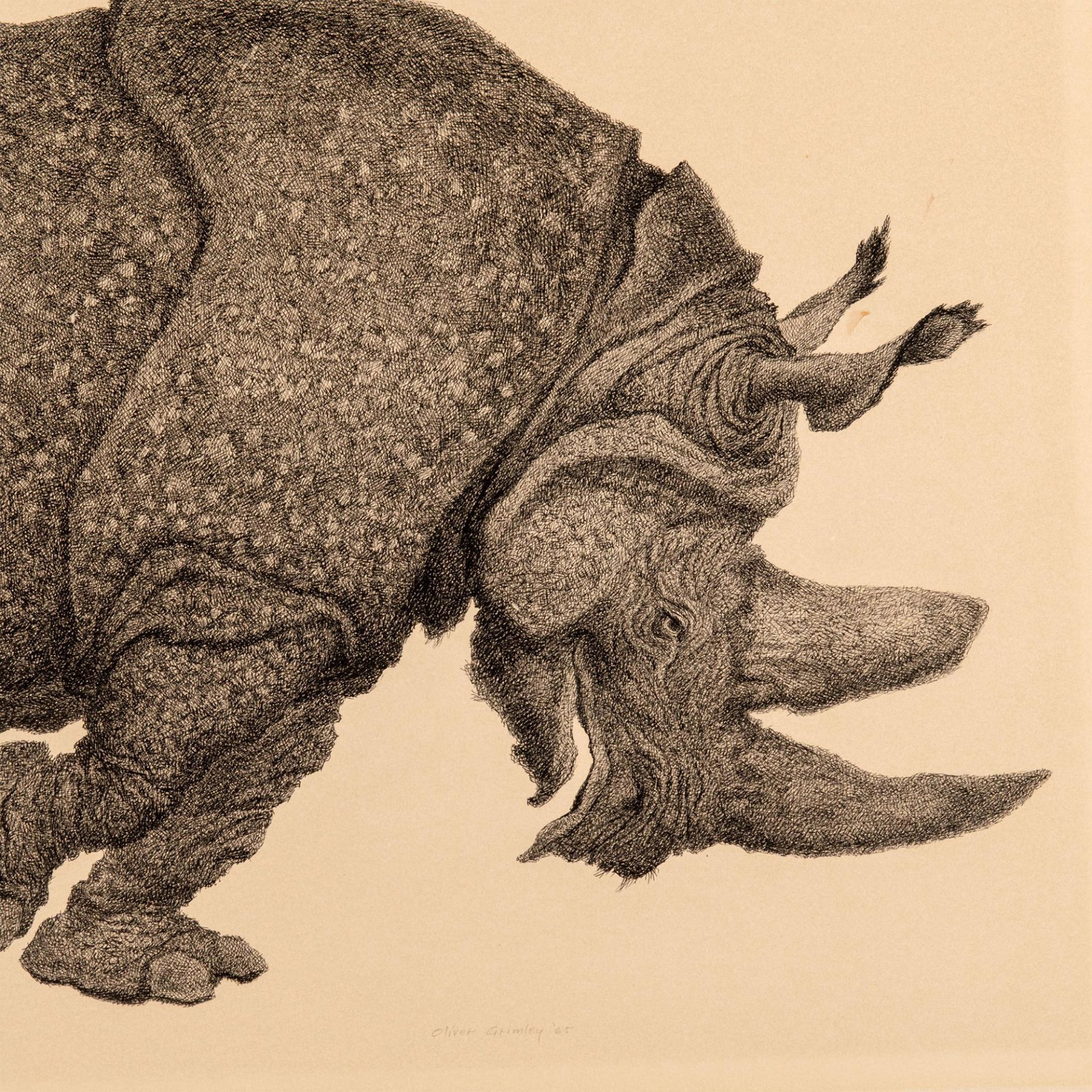 Oliver Grimley, Original Pen & Ink Drawing on Paper, Rhino - Image 3 of 5