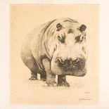W. Thoman, Original Etching on Paper, Rhinoceros, Signed