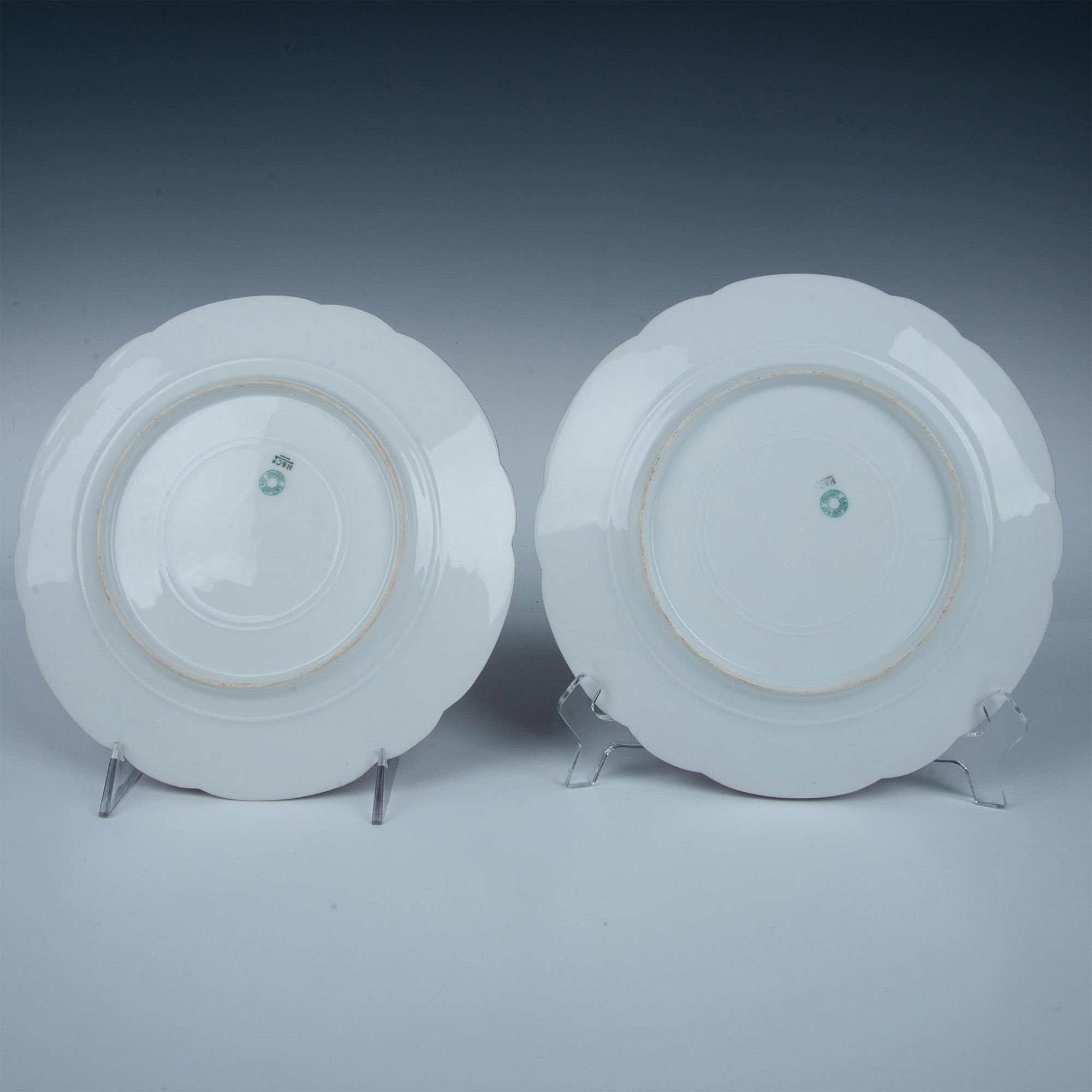 Pair of Haviland & Co. Limoges French Porcelain Plates - Image 4 of 5