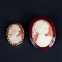 2pc Lovely Cameo Brooches