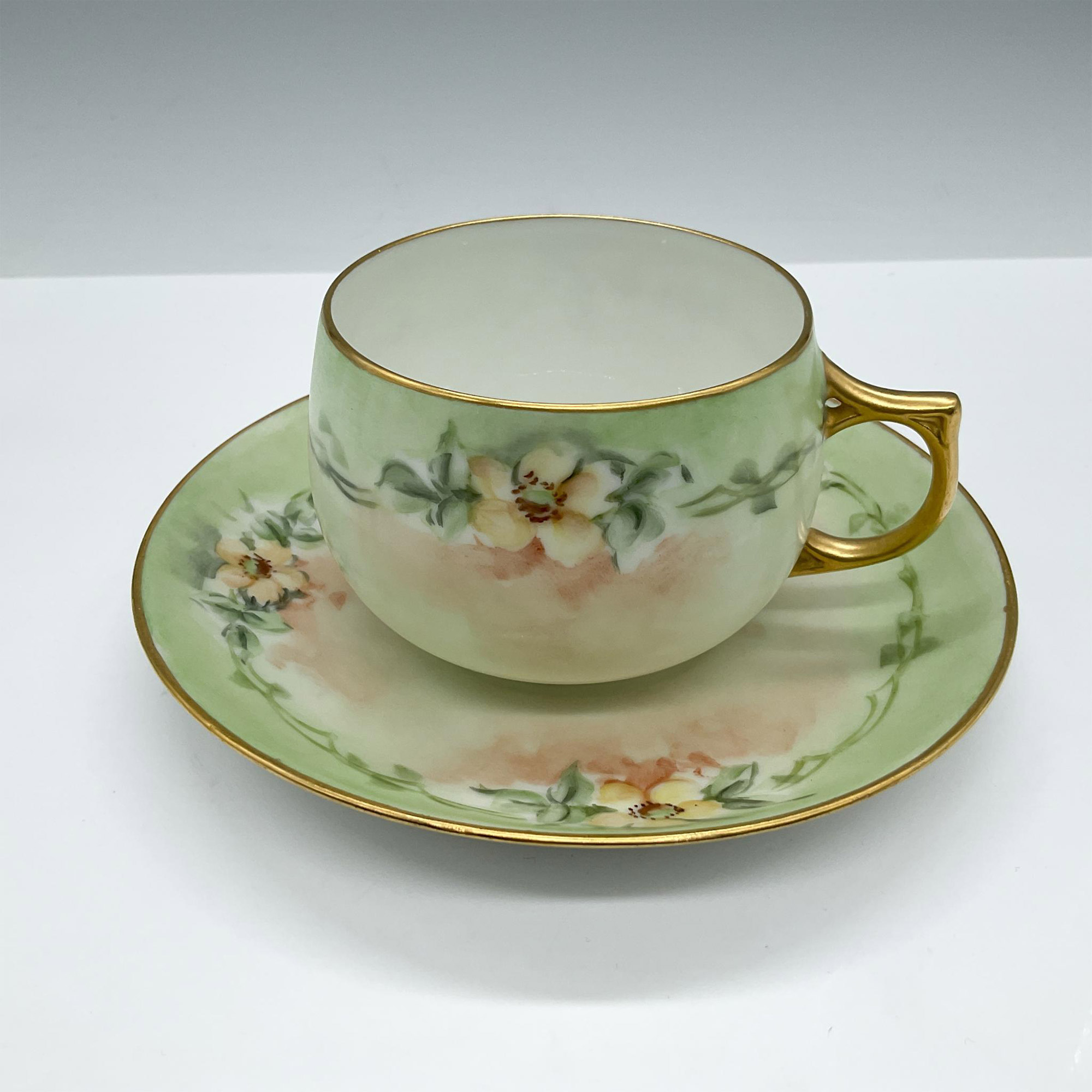 Bavaria Bone China Tea Cup and Saucer, Green Floral