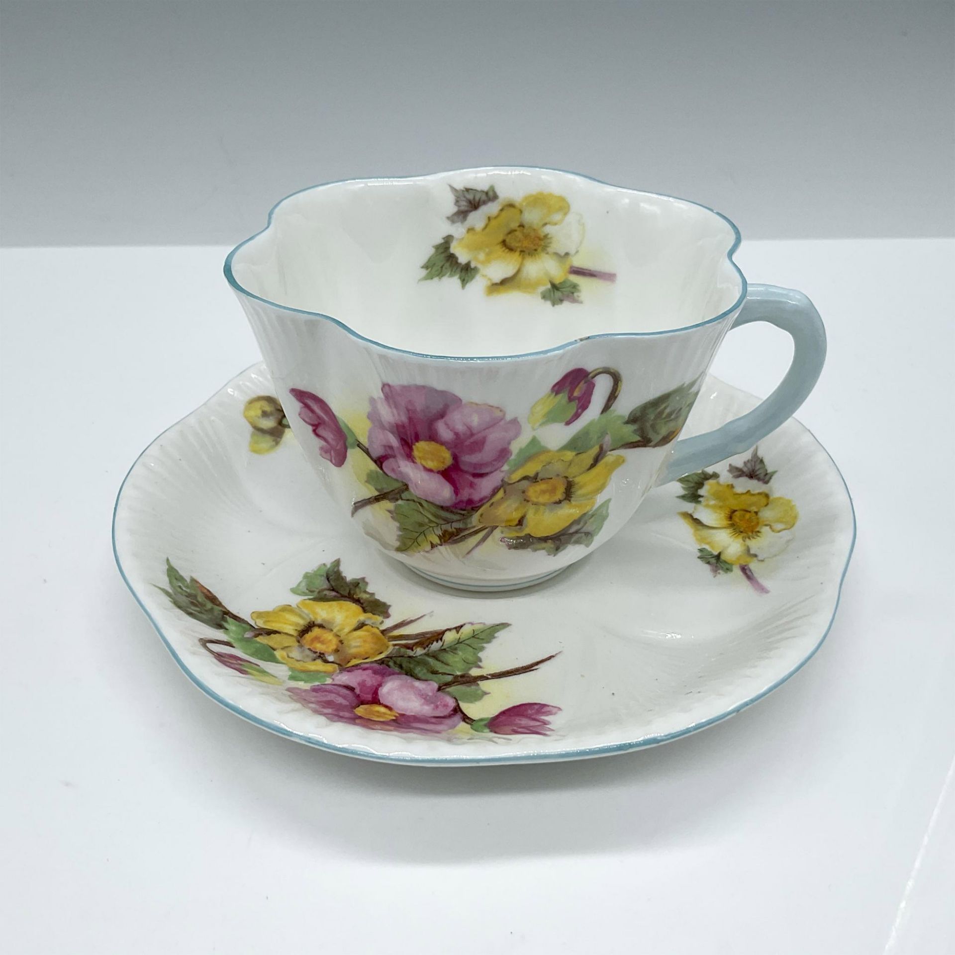 Shelley Bone China Tea Cup and Saucer, Begonia