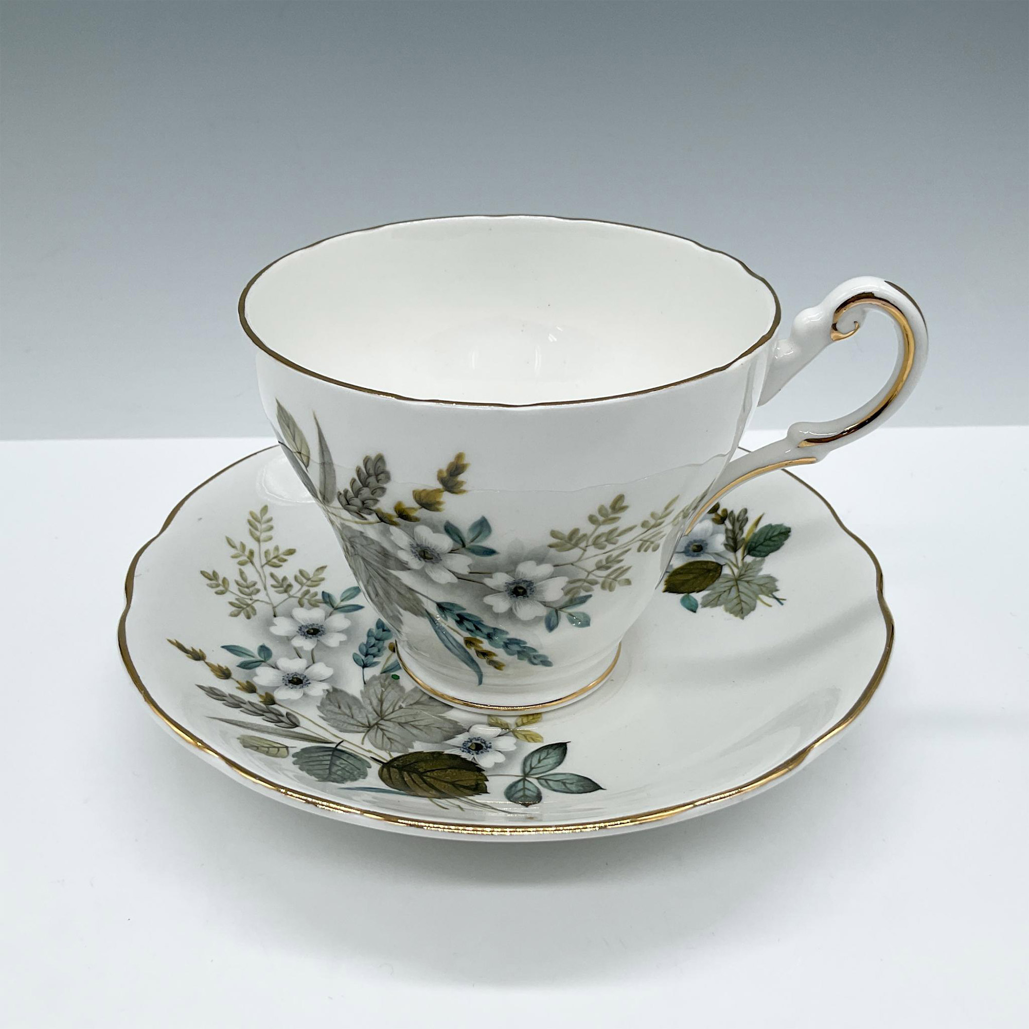 Regency Bone China Tea Cup and Saucer
