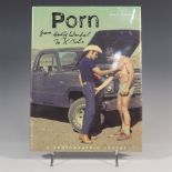 Porn from Warhol to X-Tube, Gay Studies Book by Kevin Clarke