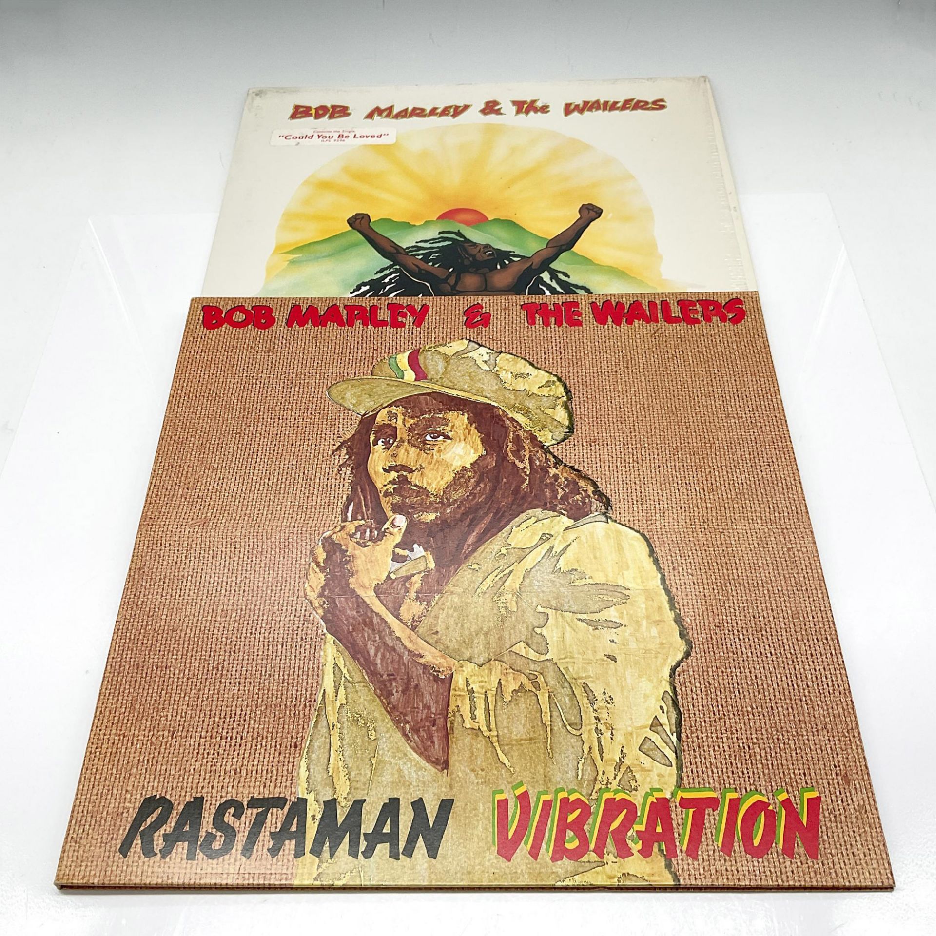 2pc Bob Marley and the Wailers Vinyl LPs