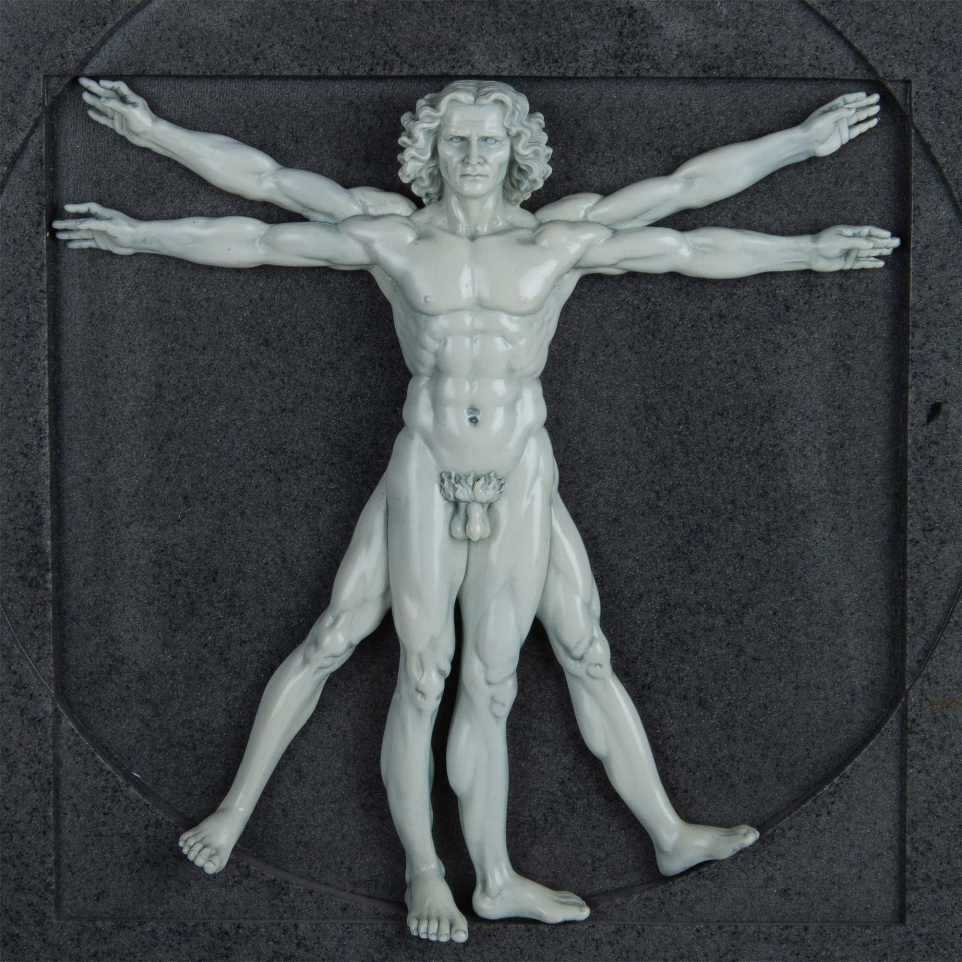 Resin Plaque Reproduction of da Vinci's Vitruvian Man - Image 2 of 3