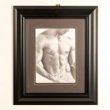 Original Drawing on Paper, Homoerotic Male Nude Torso Signed