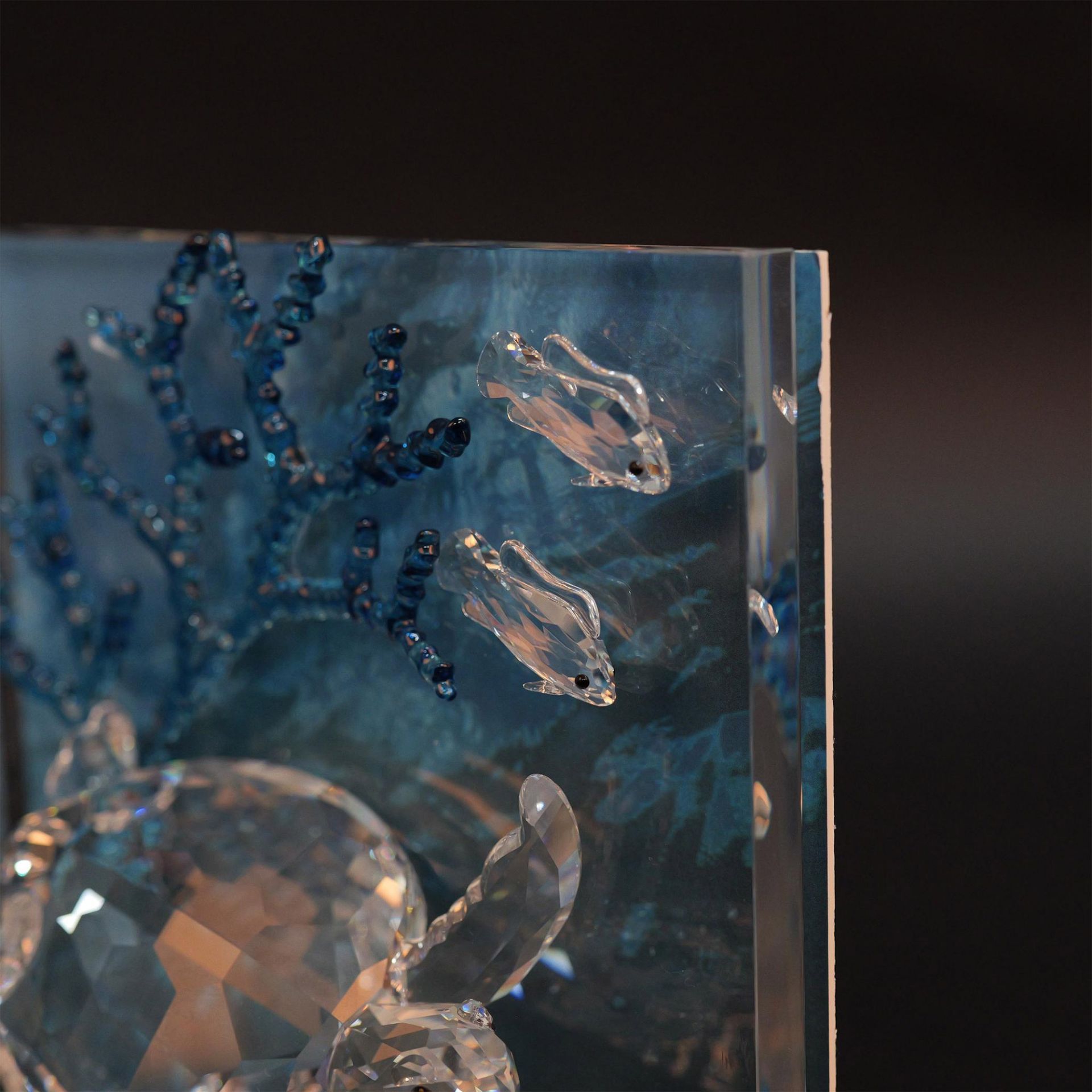 Swarovski Crystal Wonders of the Sea, Eternity Figurine - Bild 4 aus 5