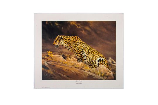 Paul Bosman Print on Paper, Majestic Predator - Image 1 of 6