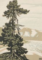 Rollé, Marie(1865-1942)Swiss Pine on a Glaciercoloured woodcutmonogrammed in the plate lower
