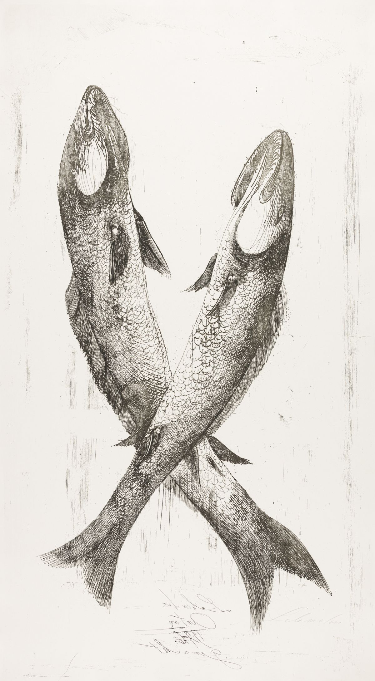 Lehmden, Anton(1929-2018)Convolute: Fish, 1976 / Spikes and Thistle / Grapeseach etchingeach