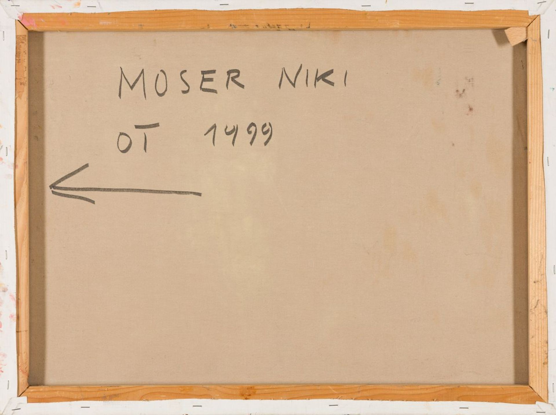 Moser, Niki - Bild 2 aus 3