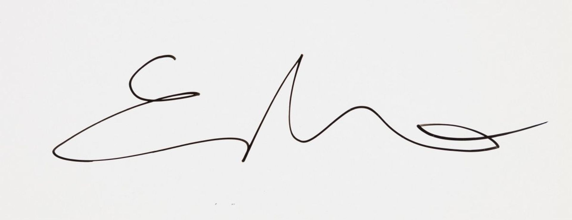 Wurm, Erwin(*1954)Untitled, 2008catalogue signedcatalogue: 10,2 x 8,9 in / facsimile: 21,3 x 13,8 - Image 3 of 9
