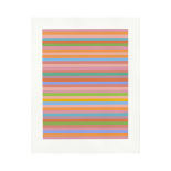 Bridget Riley, Rose Rose