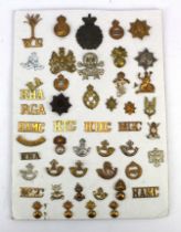 Board of various Military Cap badges, collars, shoulder titles (approx 48 items)