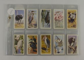 Brooke Bond - complete sets in pages, Rhodesian issue African Birds, EXC cat value £300