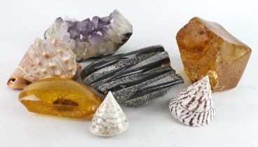 Collection of natural gemstones, fossils, shells & amber, includes an amethyst geode, orthoceras,