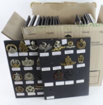 Cap badge collection mounted on several boards English and Scottish mostly, earl to Staybridght (