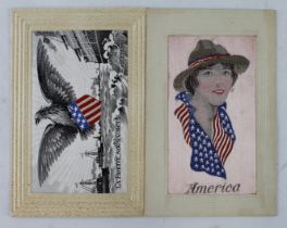 Patriotic U.S.A. Girl & Eagle with fleet   (2)