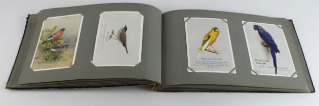Caperns Bird Album, housing plain back cards   (approx 42 cards)