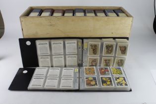 Players & Will's - large cards, very large quantity contained in 11 modern albums, at least 82