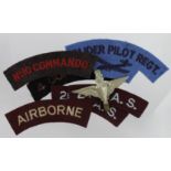 Parachute Regiment cap badge and special forces cloth insignia.