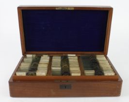 Microscope slides. A mahogany case containing approximately 60 glass slides over two layers,